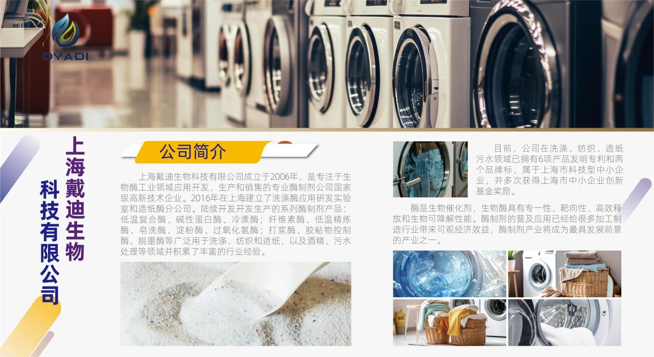 202510211641273369.jpg 202510211641273369.jpg